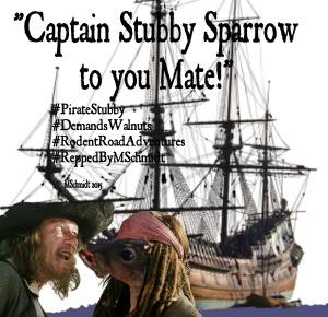CaptainStubbySparrow28July2015